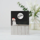 猫がおもしろいサンタを見る シーズンポストカード (スタンド正面)