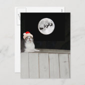 猫がおもしろいサンタを見る シーズンポストカード (正面/裏面)