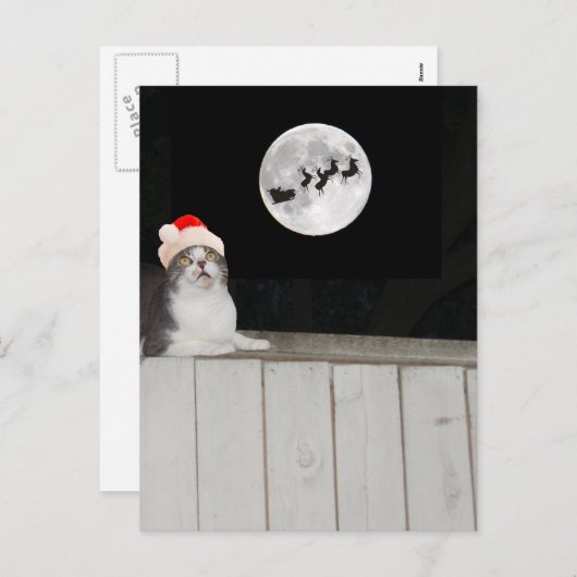 猫がおもしろいサンタを見る シーズンポストカード (正面/裏面)