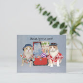 猫がおもしろい巡航中 ポストカード (スタンド正面)