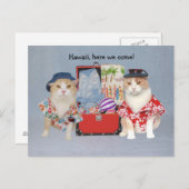 猫がおもしろい巡航中 ポストカード (正面/裏面)