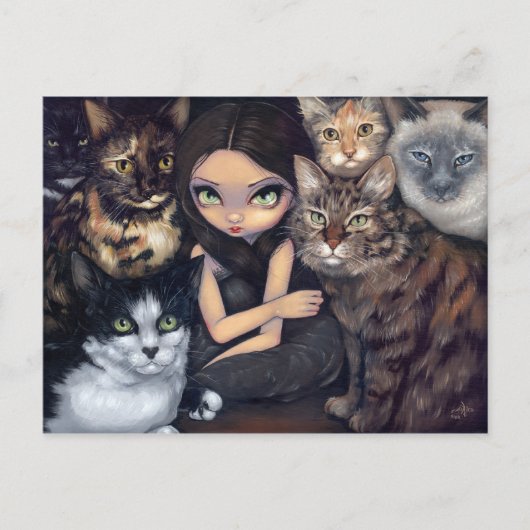 「猫がすべてさ」ポストカード ポストカード (正面)