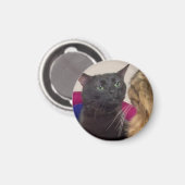 猫がぼーっとしてる面白画像 マグネット (正面/裏面)
