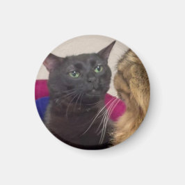 猫がぼーっとしてる面白画像 マグネット