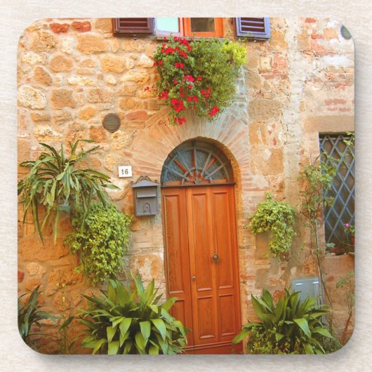 猫がイタリアのピエンザに入り込もうとする。 コースター (正面)