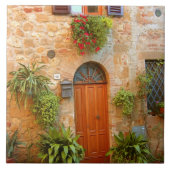 猫がイタリアのピエンツァに入ろうとする。 タイル (正面)