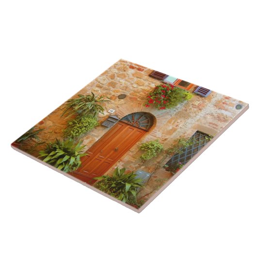 猫がイタリアのピエンツァに入ろうとする。 タイル (側面)