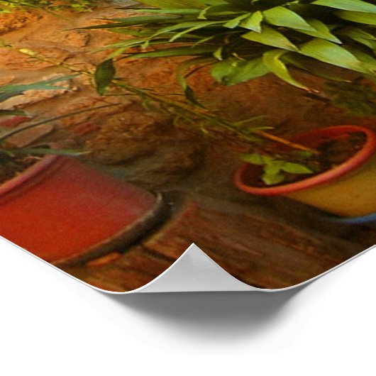 猫がイタリアのピエンツァに入ろうとする。 ポスター (角)