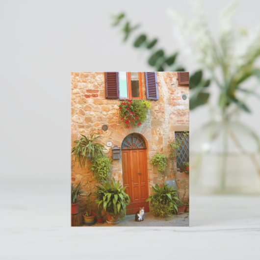 猫がイタリアのピエンツァに入ろうとする。 ポストカード (スタンド正面)