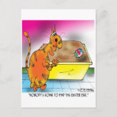 猫がイースターの卵を隠す シーズンポストカード (正面)