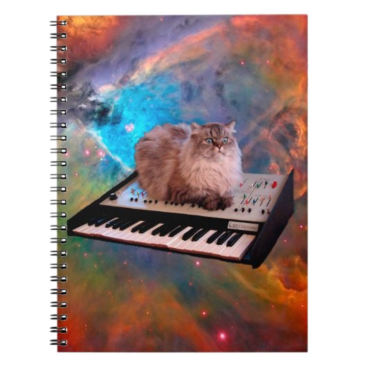 猫がキーボードの上に横たわっている宇宙 ノートブック (正面)