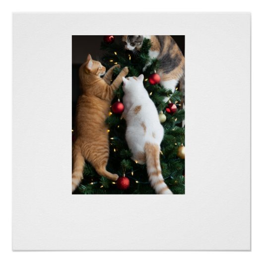 猫がクリスマスツリーに登っている ポスター (正面)