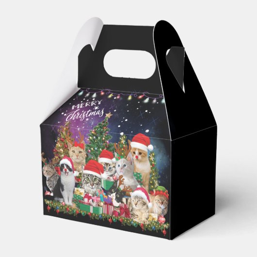 猫がクリスマス気分に フェイバーボックス (正面サイド)