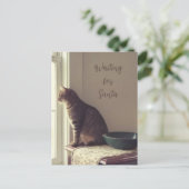 猫がサンタを待っている シーズンポストカード (スタンド正面)