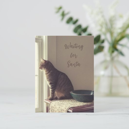 猫がサンタを待っている シーズンポストカード (スタンド正面)