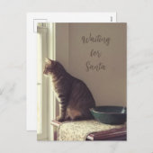 猫がサンタを待っている シーズンポストカード (正面/裏面)