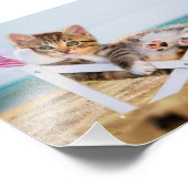 猫がサンラウンジで休む フォトプリント            (角)