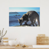 猫がスポットのマーク:Top Of Aku New Zealand ポスター (キッチン)