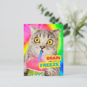 猫がズルシを飲む インビテーションポストカード (スタンド正面)