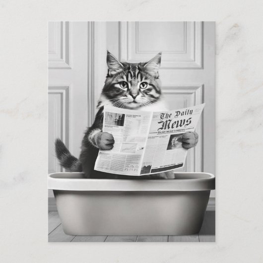 猫がトイレに座って新聞を読んでいる ポストカード (正面)