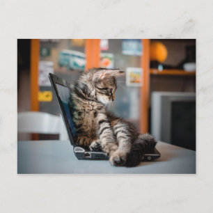 猫がノートに横たわる ポストカード