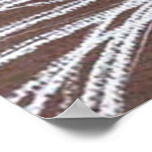 猫がヒゲだけ2 ポスター (角)