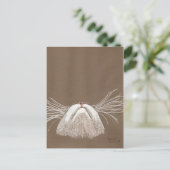 猫がヒゲているだけ ポストカード (スタンド正面)