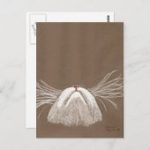 猫がヒゲているだけ ポストカード (正面/裏面)