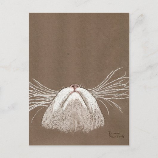 猫がヒゲているだけ ポストカード (正面)