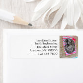 猫がビーチに横たわる ラベル (インサイチュ)