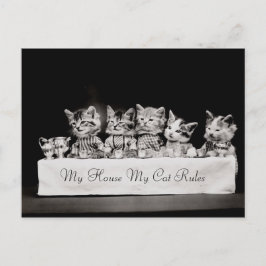 猫がヴィンテージ茶を着た ポストカード