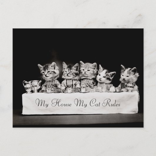 猫がヴィンテージ茶を着た ポストカード (正面)