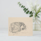 猫が丸まってエドワード・マネに寝ていた。 ポストカード (スタンド正面)