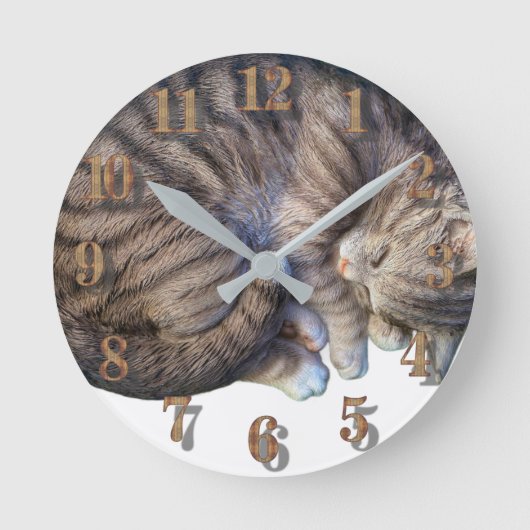 猫が丸まって可愛い居心地の良い眠り ラウンド壁時計 (正面)