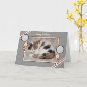 猫が丸まって眠っている写真コーラルグレーの誕生日 カード (黄色い花)