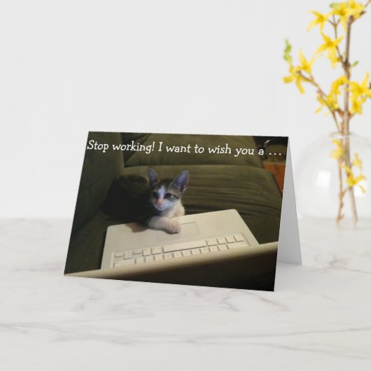 猫が付いているバースデー・カード: 働くことを止めて下さい! カード (黄色い花)