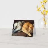 猫が付いている毎日のメッセージカード! カード (黄色い花)