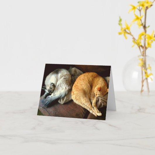 猫が付いている毎日のメッセージカード! カード (黄色い花)