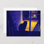 猫が住む昔の近所のはがき ポストカード (正面/裏面)