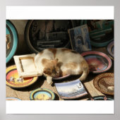 猫が入って….ボウル ポスター (正面)