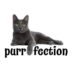 猫が冷え切るパーフェクション Tシャツ