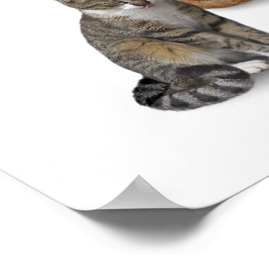 猫が大好き ポスター (角)