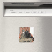 猫が大好き！マグネット マグネット (インサイチュ (食洗機))