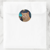猫が宇宙を見る ラウンドシール (バッグ)