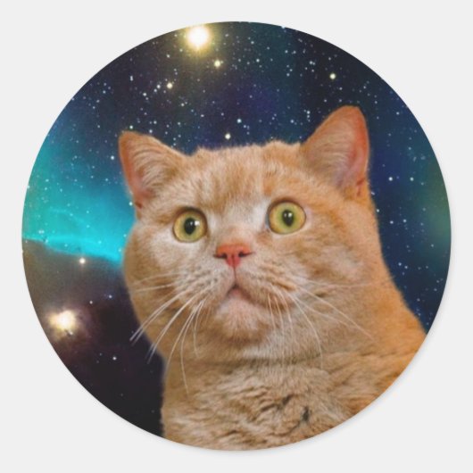 猫が宇宙を見る ラウンドシール (正面)