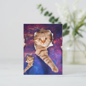 猫が宇宙側の引き裂かれた穴を見上げる ポストカード (スタンド正面)