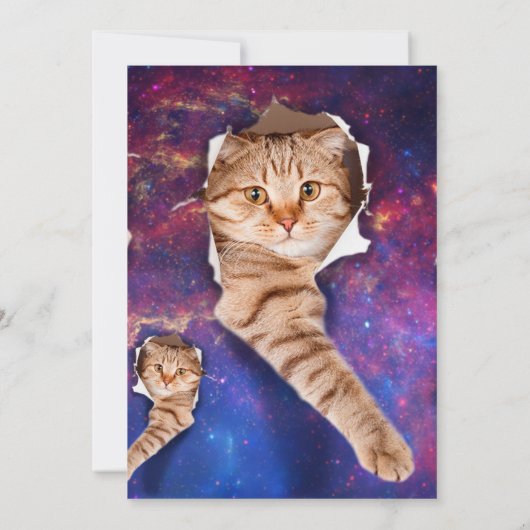 猫が宇宙側の引き裂かれた穴を見上げる 招待状 (裏面)