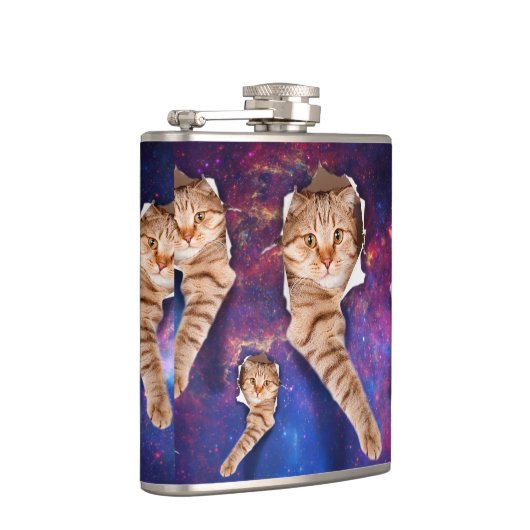 猫が宇宙側の裂けた穴を見上げる フラスク (右)