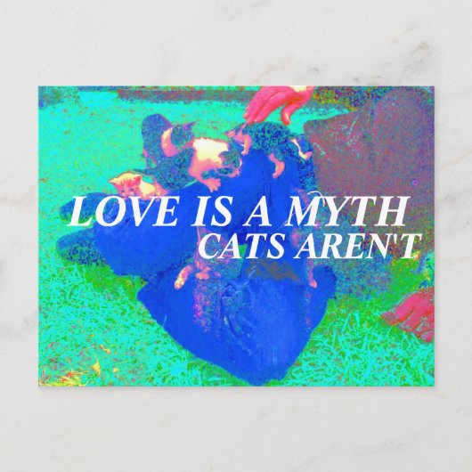 猫が実在い ポストカード (正面)