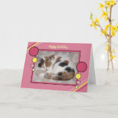 猫が寝ている写真ピンクの黄色の誕生日を丸めた カード (黄色い花)